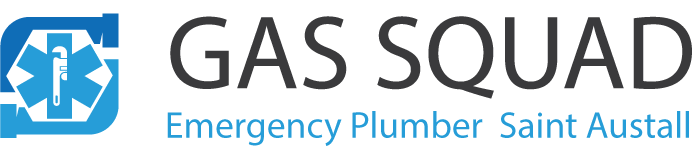 Emergency Plumbing Saint Austall